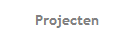 Projecten